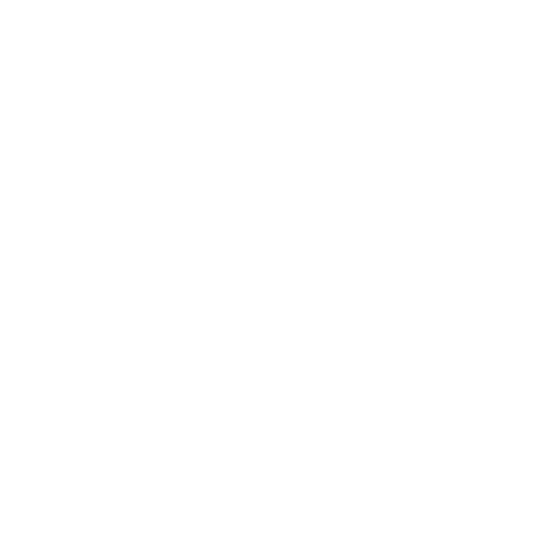 seo sito web