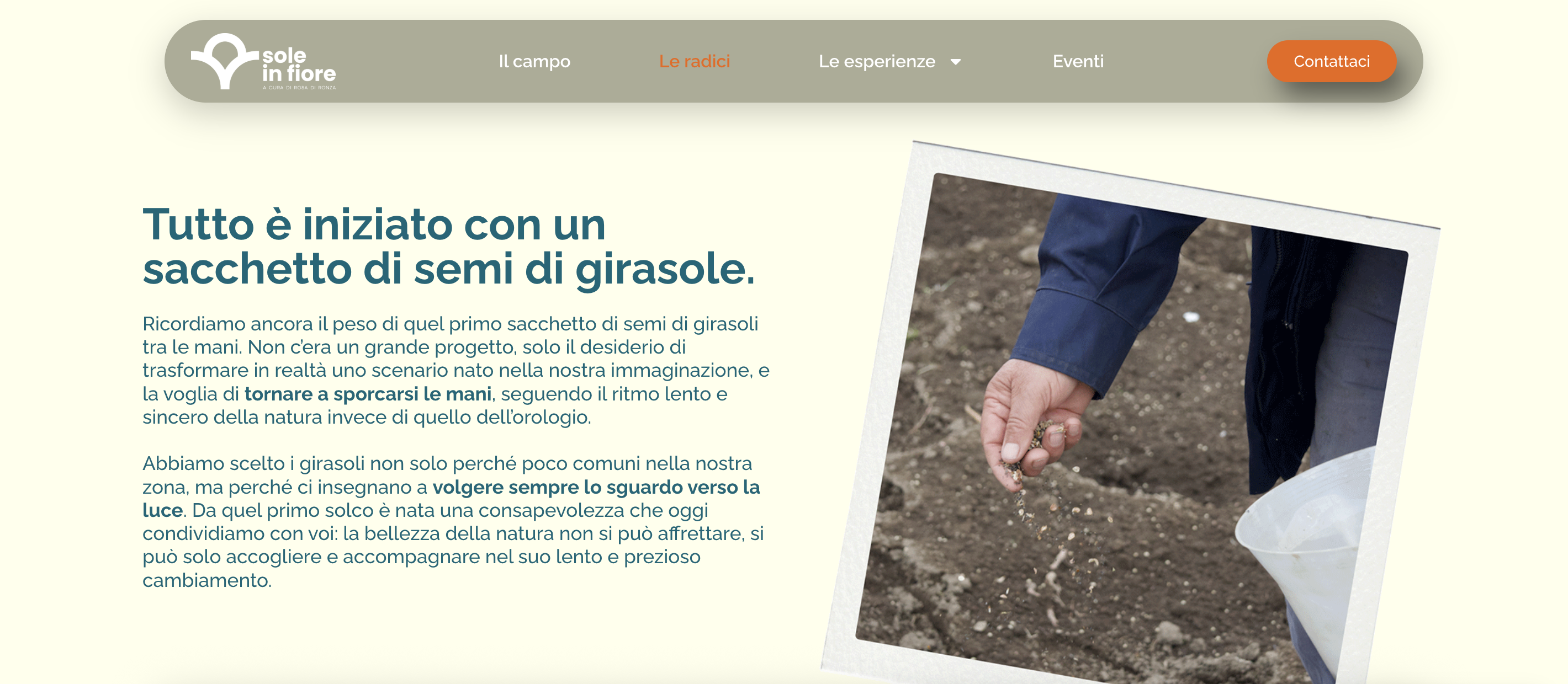 Pagina Le Radici – Sole in Fiore